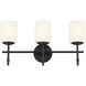 Ali 3 Light 23.25 inch Black Bath Vanity Light Wall Light