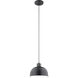 Zailey 1 Light 12 inch Black Pendant Ceiling Light