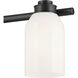 Shae 3 Light 24.25 inch Black Vanity Light Wall Light