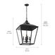 Homestead Dame 4 Light 19 inch Textured Black Foyer Pendant Ceiling Light, Dame