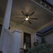 Loa 65 inch Satin Black Ceiling Fan