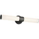 Sashi LED 24.25 inch Black Bath Bar Wall Light, Medium