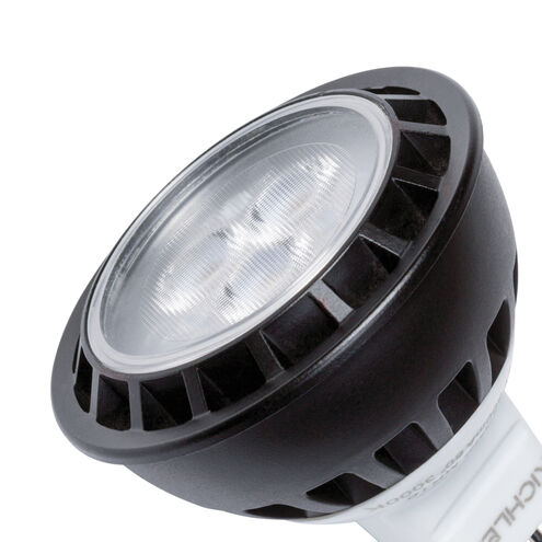 Independence 12 4.00 watt Landscape 12V Led Lamps