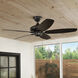 Renew Patio 52 inch Satin Black Ceiling Fan