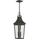 Cleary 2 Light 8.50 inch Outdoor Pendant/Chandelier