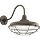 Pier 1 Light 16 inch Olde Bronze Outdoor Wall, X-Large