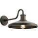 Allenbury 1 Light 9 inch Olde Bronze Outdoor Wall, X-Large