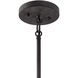 Pier 1 Light 13 inch Black Pendant/Semi Flush Ceiling Light