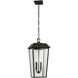 Mathus 2 Light 10.75 inch Outdoor Pendant/Chandelier