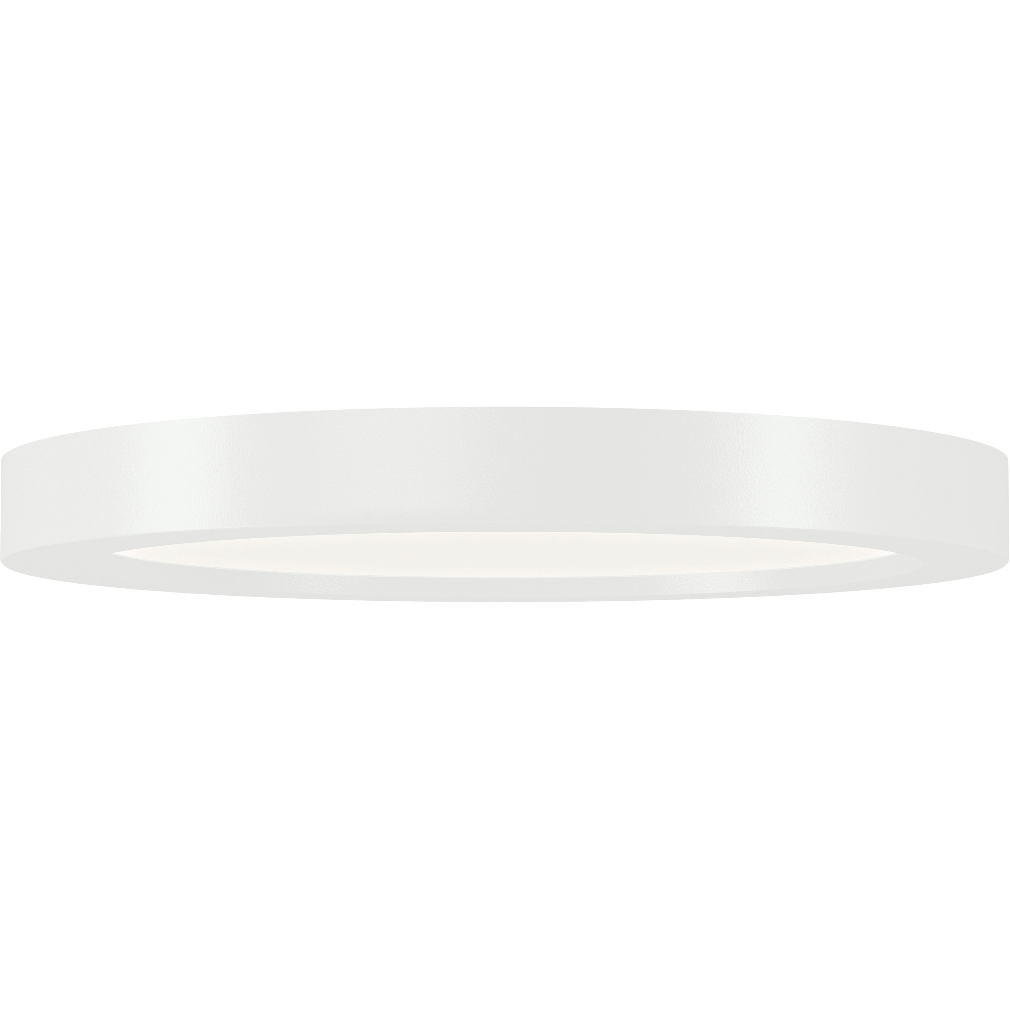 Ara White Downlight