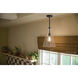 Everly 1 Light Black Pendant Ceiling Light in Clear Seeded
