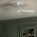 Canfield Patio 52 inch White Ceiling Fan