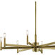 Erzo 8 Light 35.5 inch Natural Brass Chandelier 1 Tier Large Ceiling Light, 1 Tier Large