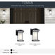 Toman 1 Light 10 inch Black Outdoor Wall in Incandescent, Small