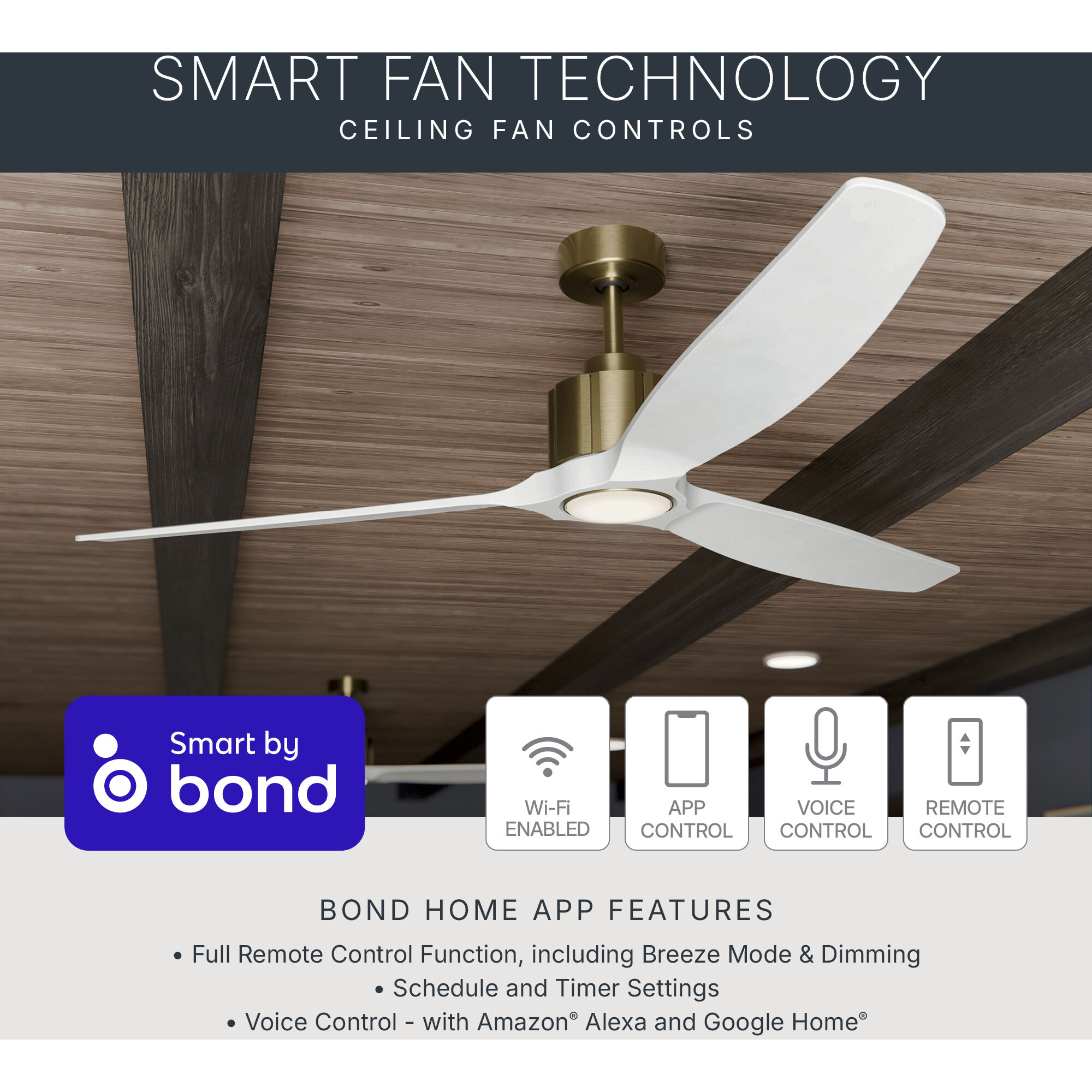 Solen 65 inch Matte Black Ceiling Fan
