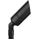 Independence 12 AC 35 watt Black Brass Accent Fixture