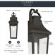 Cleary 1 Light 20 inch Olde Bronze Outdoor Wall Light