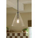 Everly 1 Light Black Pendant Ceiling Light