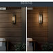 Berens 1 Light 16 inch Textured Black Outdoor Wall Light