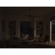 Ridley 60 inch Brushed Stainless Steel with Medium Oak Blades Ceiling Fan