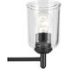 Shailene 5 Light Black Chandelier Ceiling Light