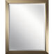 Independence 30 X 24 inch Champagne Bronze Mirror