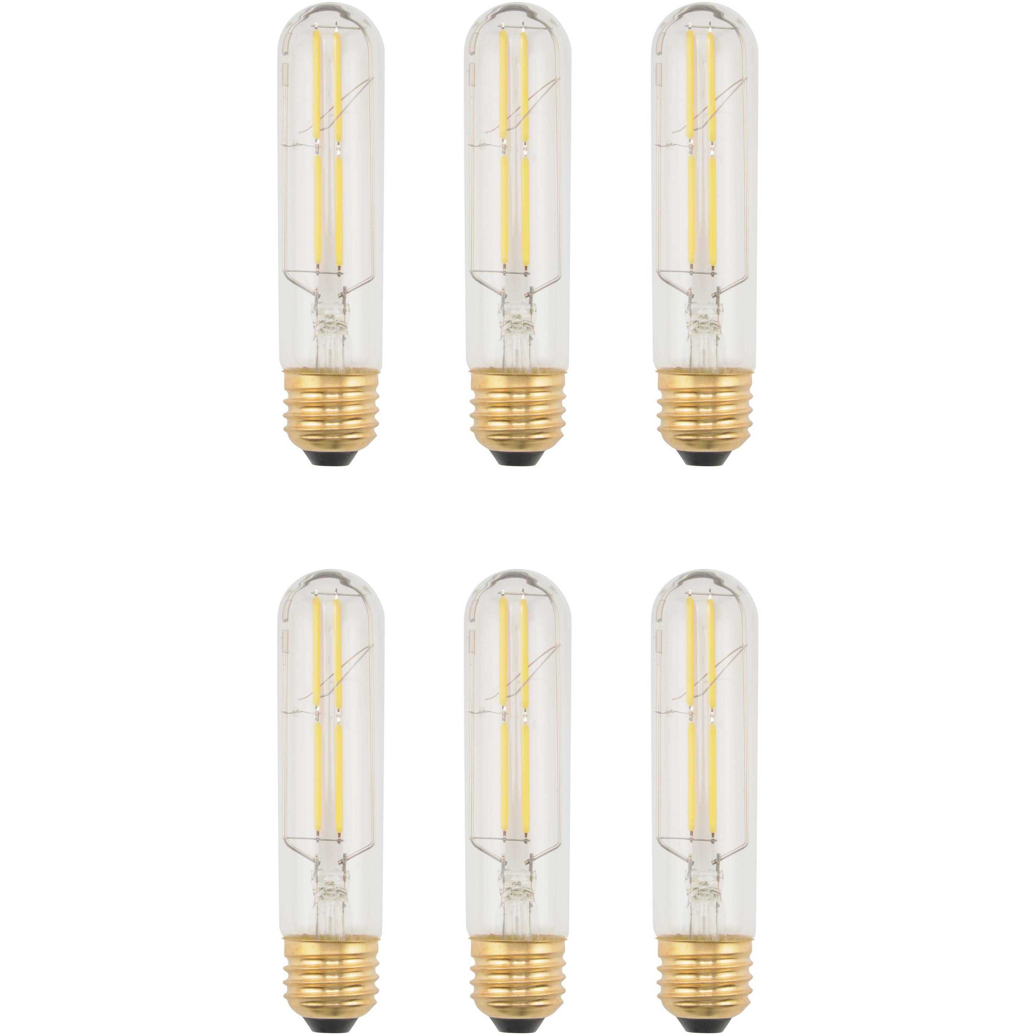 Anthony T10 E26 6.00 watt 120 3000K LED Light Bulb, Pack of 6