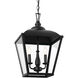 Homestead Dame 3 Light 13 inch Textured Black Pendant Ceiling Light, Dame