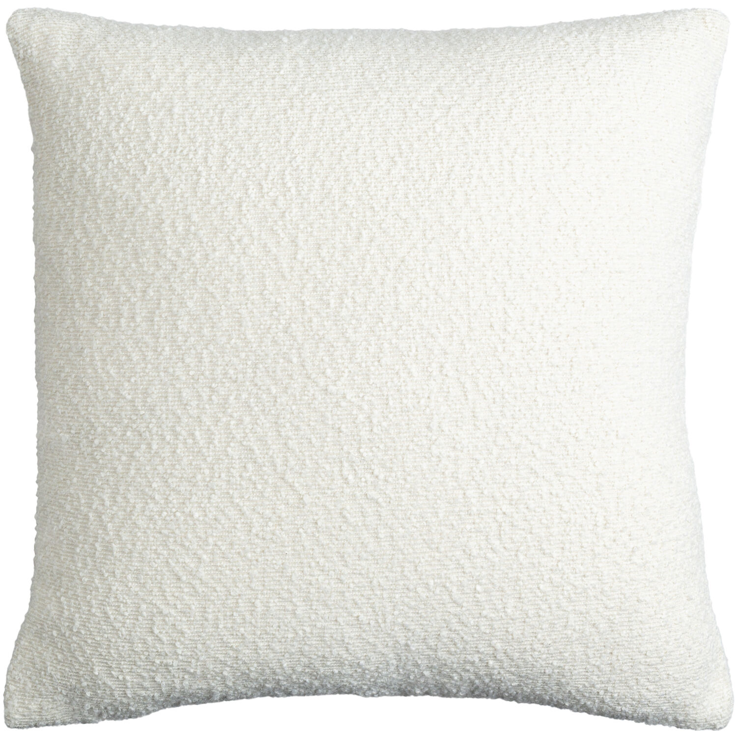 Eesha Decorative Pillow
