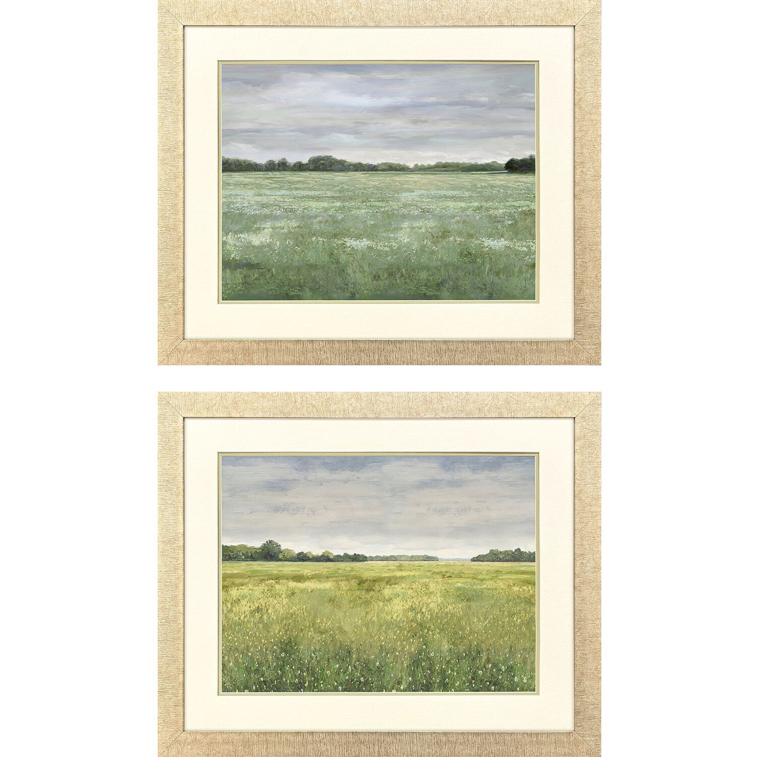 Quiet Meadow Green and Multi and Neutral and Blue Framed Art, Propac