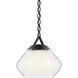 Nella 1 Light Black Pendant Ceiling Light