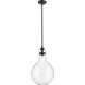 Laria 1 Light Black Pendant Ceiling Light in Clear