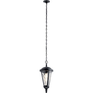 Cresleigh 1 Light 9 inch Black with Silver Highlights Outdoor Hanging Pendant
