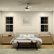 Maeve 52 inch Brushed Stainless Steel with Silver Blades Ceiling Fan