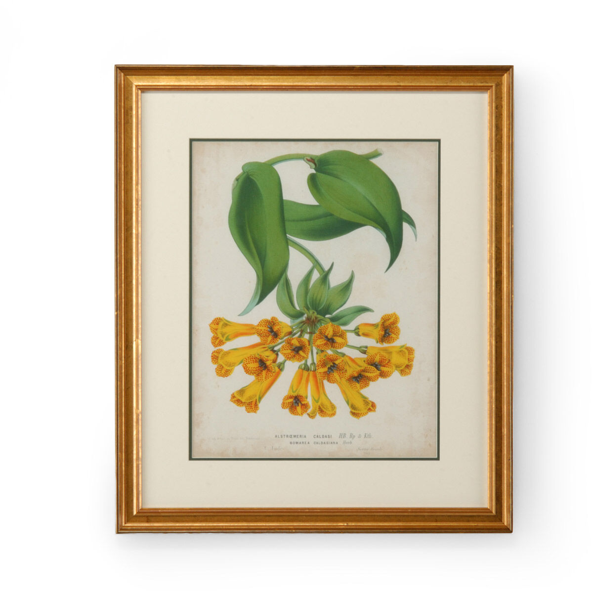 Chelsea House 27 X 23 inch Print