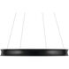 Larousse LED Black Chandelier Ceiling Light