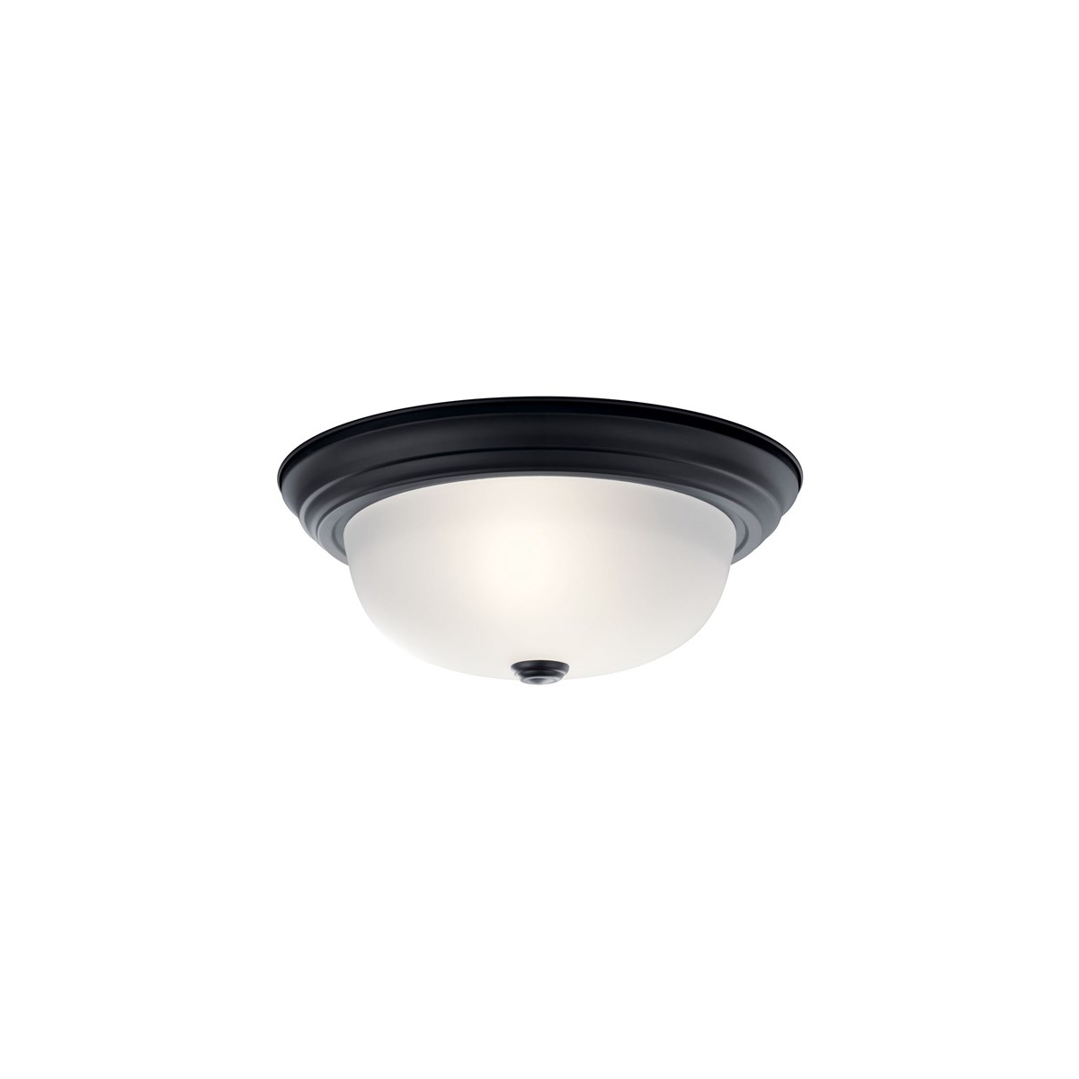 Independence 2 Light 13 inch Black Flush Mount Light Ceiling Light