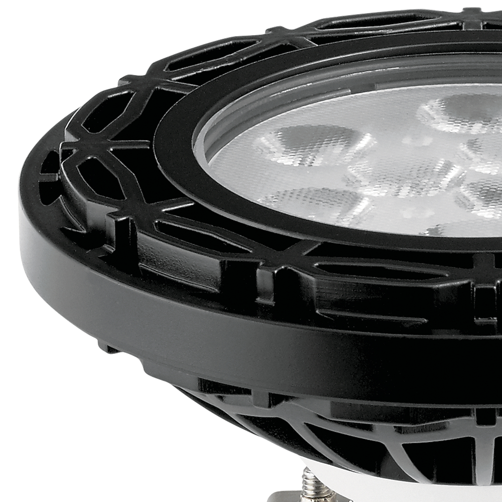 Landscape Led 12 10.00 watt Black Landscape 12V Led Lamps