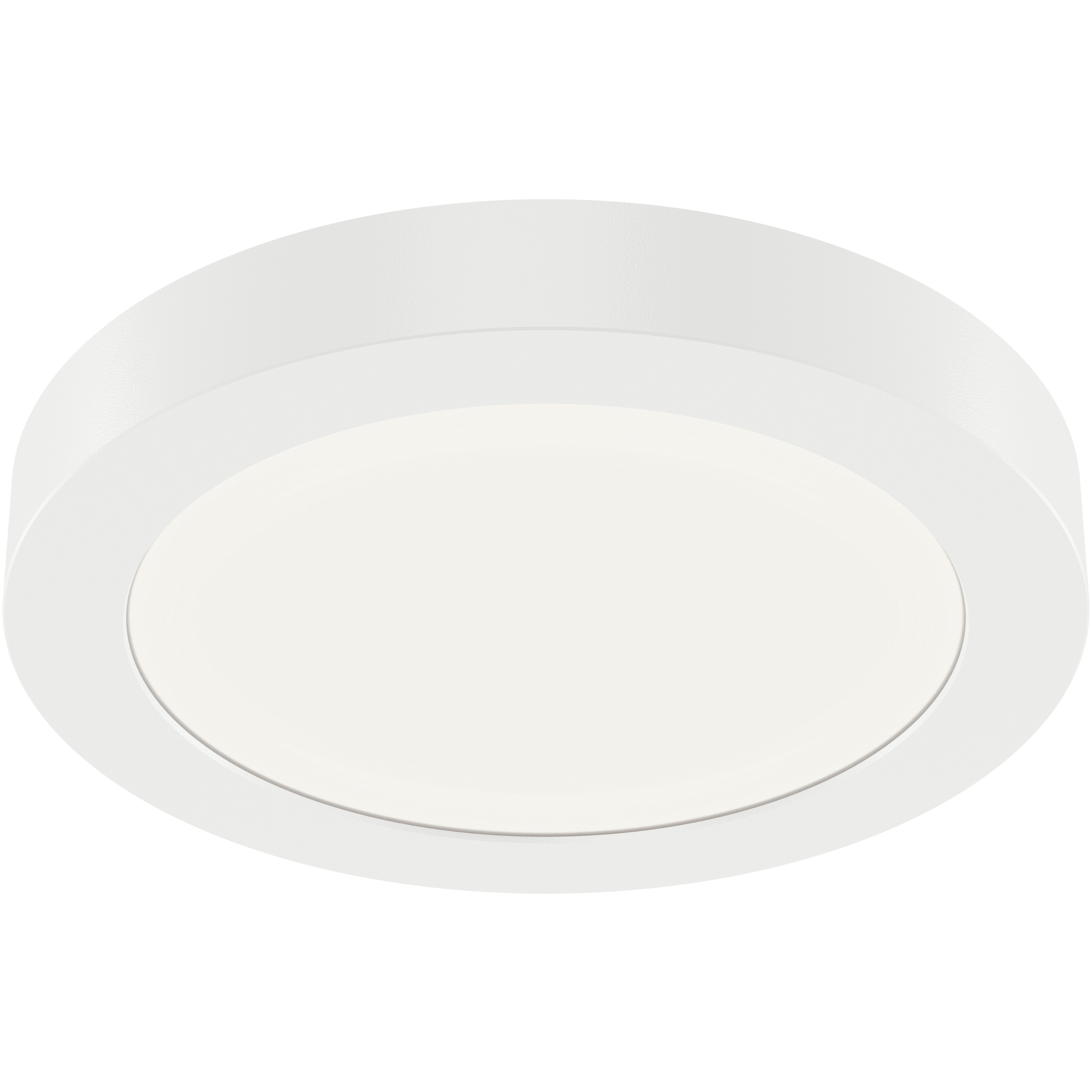 Ara White Downlight